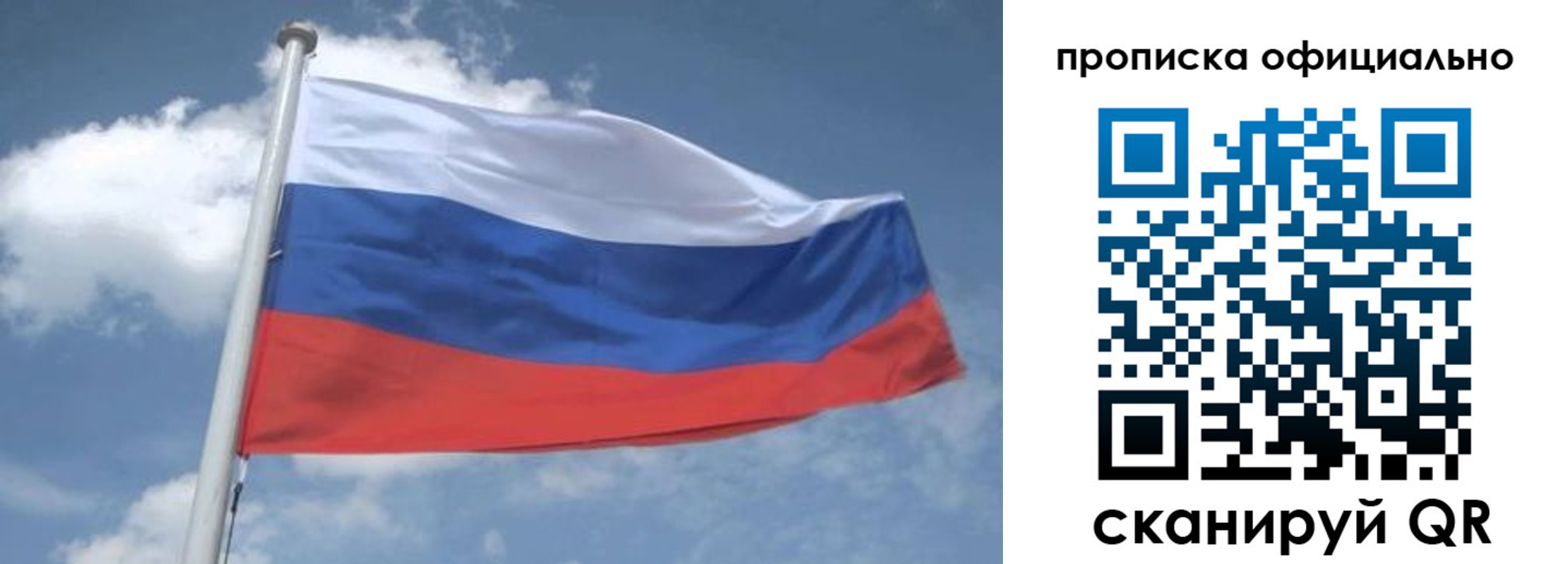 прописка для школы в Лесном